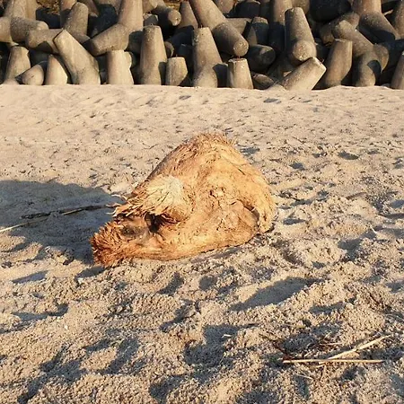 Lägenhet Sloneczny Piec Morz *