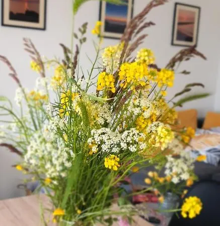 Sloneczny Piec Morz * Sianozety