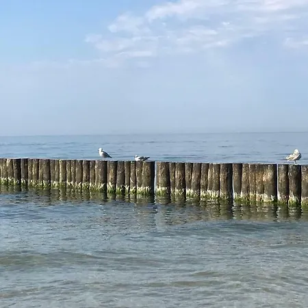 Sloneczny Piec Morz Sianozety