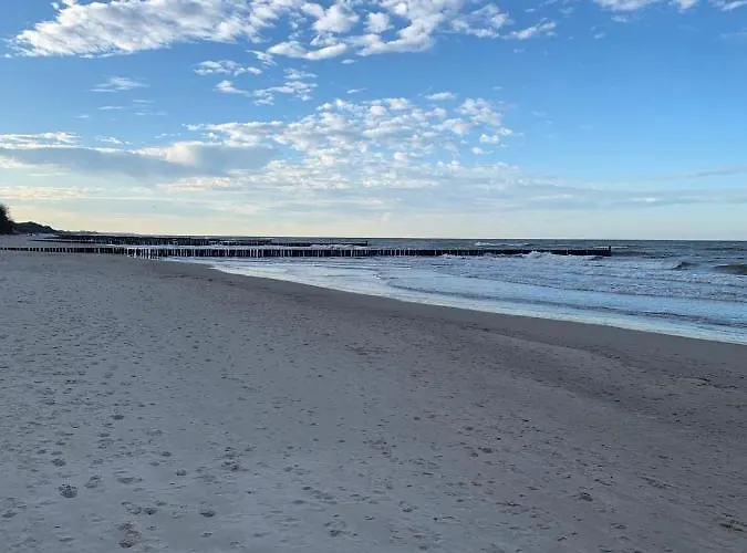 Sloneczny Piec Morz * سيانوزيتي