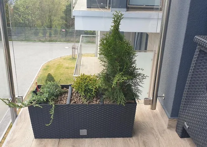 Sloneczny Piec Morz * سيانوزيتي