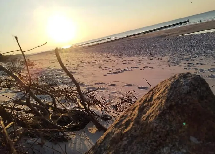 Sloneczny Piec Morz * سيانوزيتي