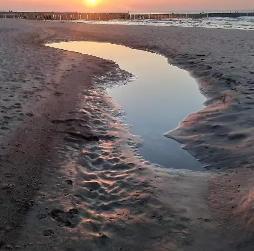 Sloneczny Piec Morz * سيانوزيتي