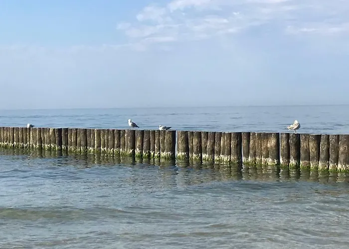 Sloneczny Piec Morz Sianożęty